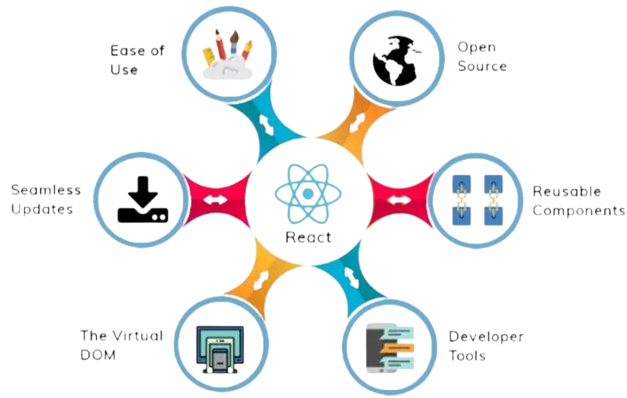 React.js Developer Career