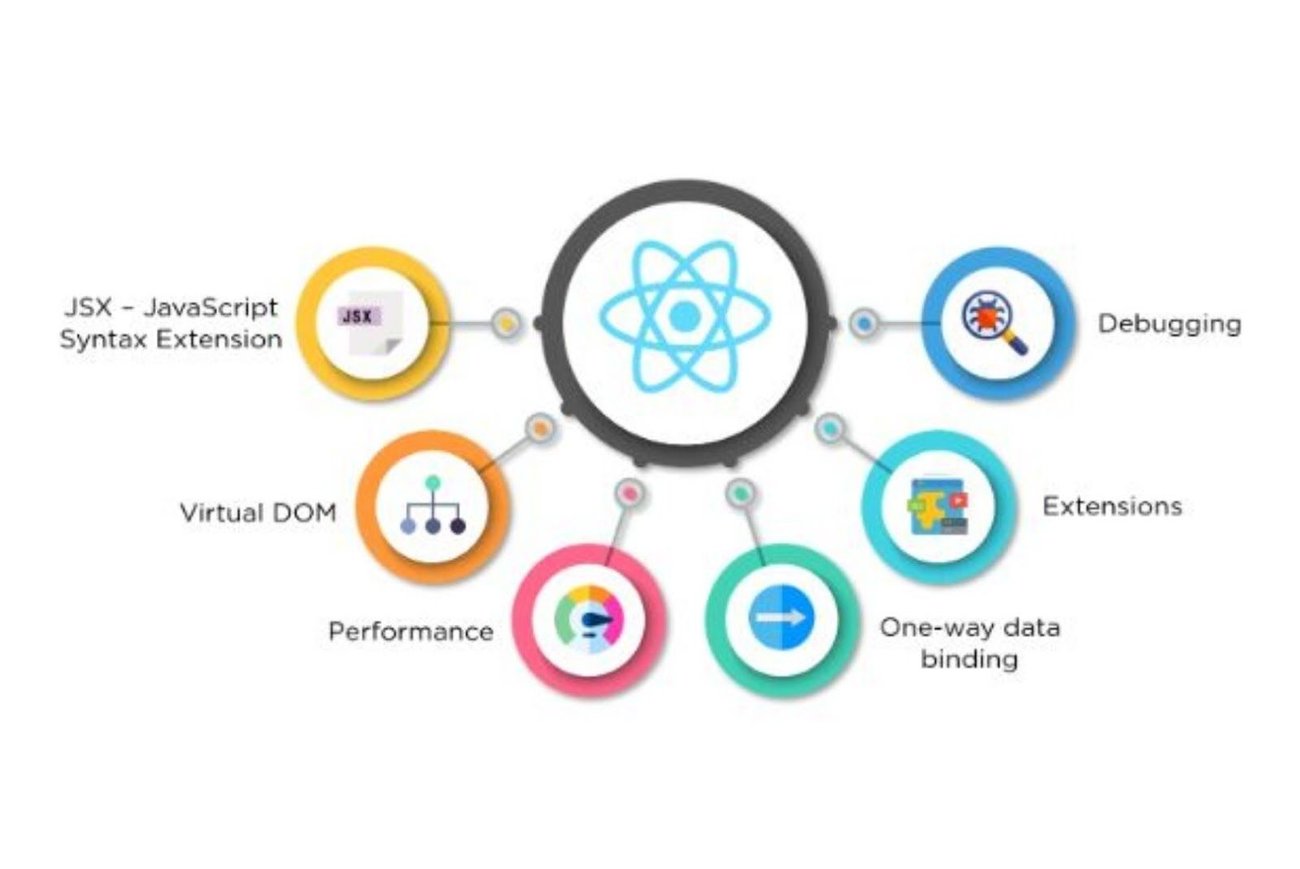 React.js Developer Highlights